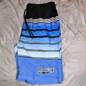 NWOT - Monterey, CA ৹ Board Shorts ৹ Swim Trunks ৹ Blue Striped ৹ Ohio Pyle ৹ M